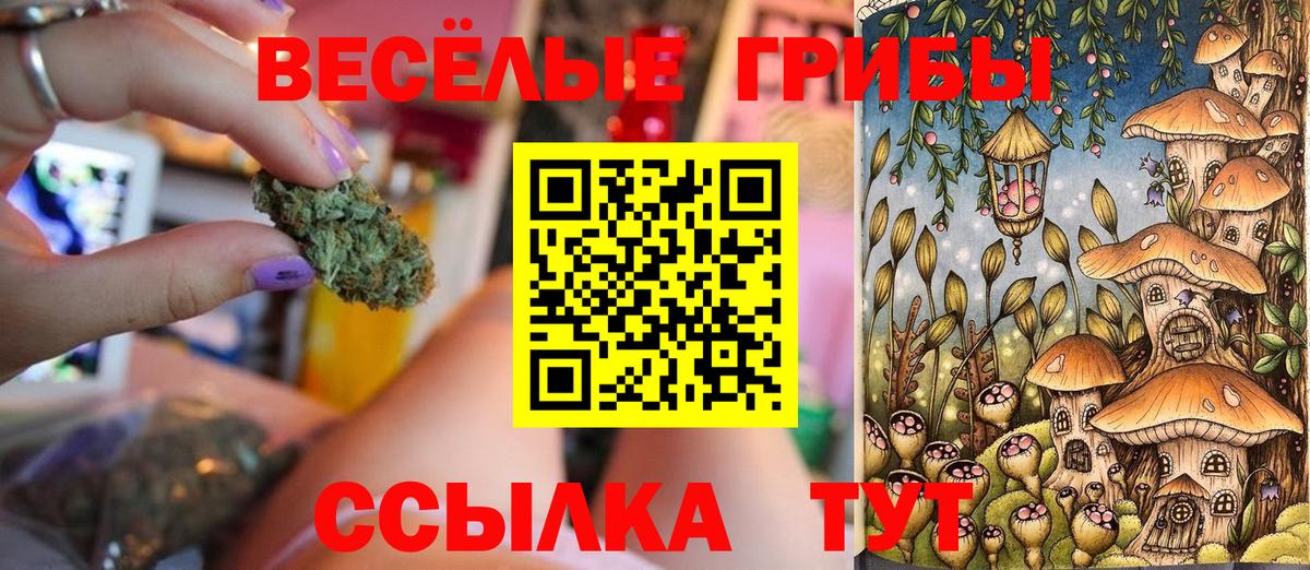 Галлюциногенные грибы прущие грибы Нальчик