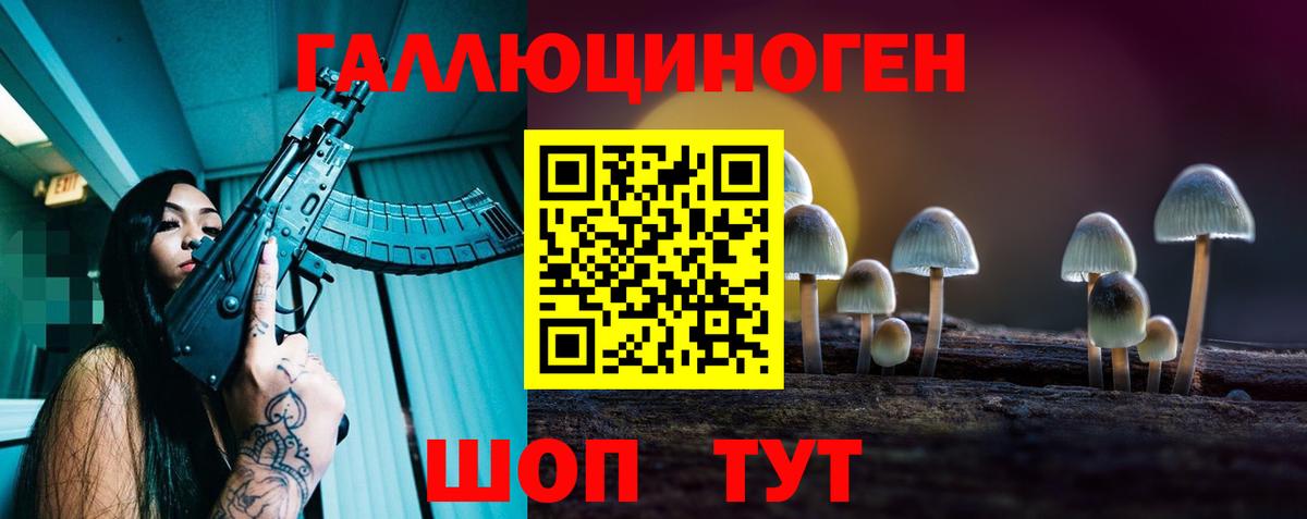 Нальчик  Псилоцибиновые грибы Magic Shrooms  Псилоцибиновые грибы GOLDEN TEACHER  Вход с VPN 